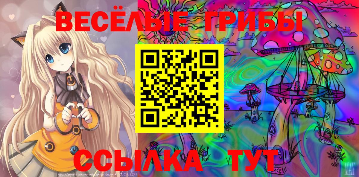 Галлюциногенные грибы MAGIC MUSHROOMS Рязань