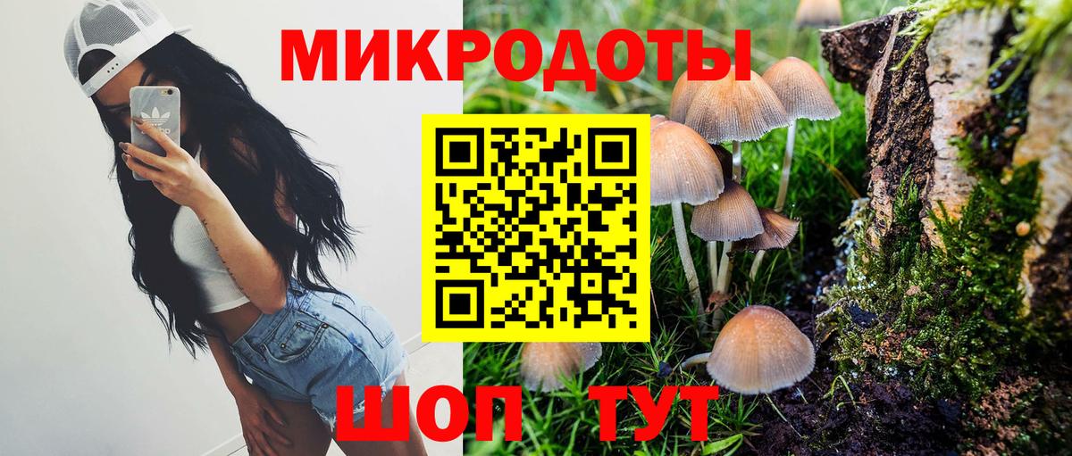 Рязань  Псилоцибиновые грибы Psilocybe  Вход с VPN 