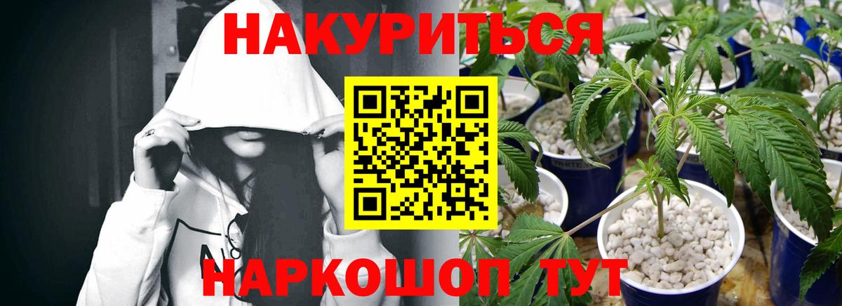 МАРИХУАНА сатива Рязань